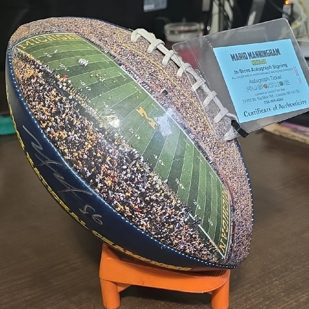 NCAA Blue and Yellow Football Display Shelf